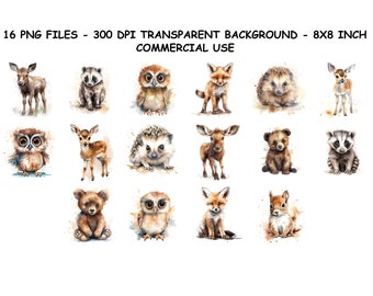 WOODLAND ANIMALS Clipart WATERCOLOR, Woodland Animals Clipart Png Files, Transparent Background Png