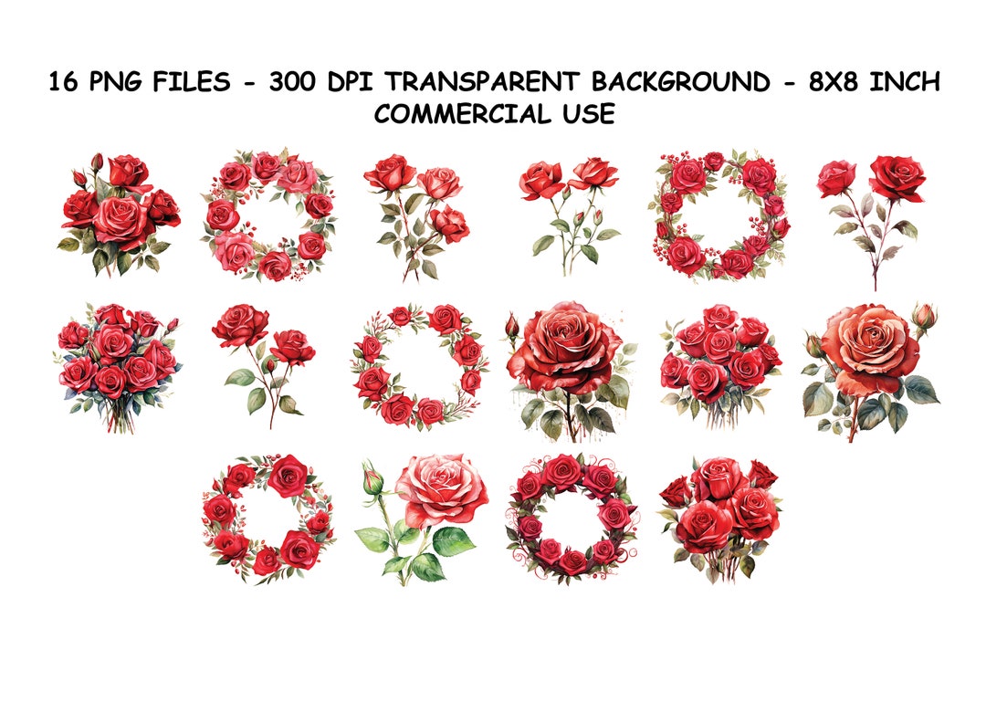 AQUAREL RODE ROZEN Clipart, aquarel rode rozen png-bestanden ...