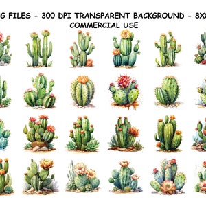 WATERCOLOR CACTUS CLIPART, Watercolor Cactus Clipart Png Files, Transparent Background Png for Commercial Use