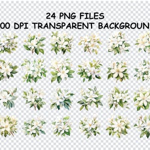 JASMINE BLUMEN AQUARELL Png, weiße Blumen Clipart, botanische Druck-Svg-Dateien für Cricut, elegantes Dekor