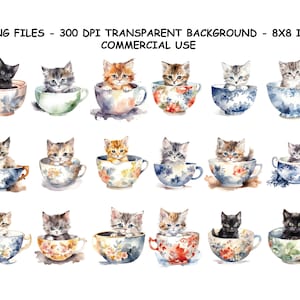 GATTINO ACQUERELLO in una TAZZA Clipart, Gattino in una tazza Clipart Png, Gattino in una tazza Png Uso commerciale