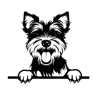 PEEKING BIEWER TERRIER Svg, Peeking Biewer Terrier Svg Files For Cricut, Peeking Biewer Clipart