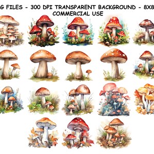 AQUARELLE CHAMPIGNONS CLIPART, aquarelle champignons png pour usage commercial, clipart champignon