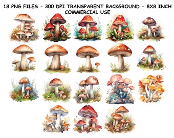 WATERCOLOR MUSHROOMS CLIPART, Watercolor Mushrooms Png For Commercial Use, Mushroom Clip Art