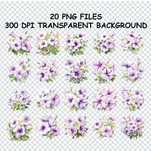 PETUNIA BLUME PNG, Fliederblüten, Gartenblume, Florals Touch PNG