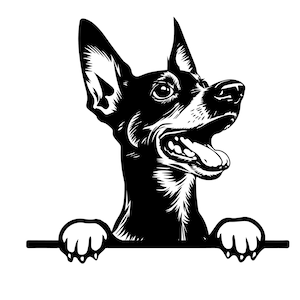 PEEKING MINIATURE PINSCHER Svg, Peeking Miniature Pinscher Svg Files For Cricut