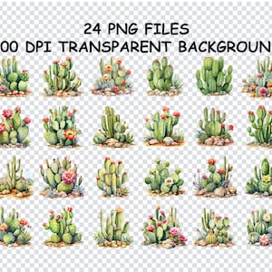 FLORACIÓN DE CACTUS VERDE Acuarela png, Planta del desierto, Cactus rocoso