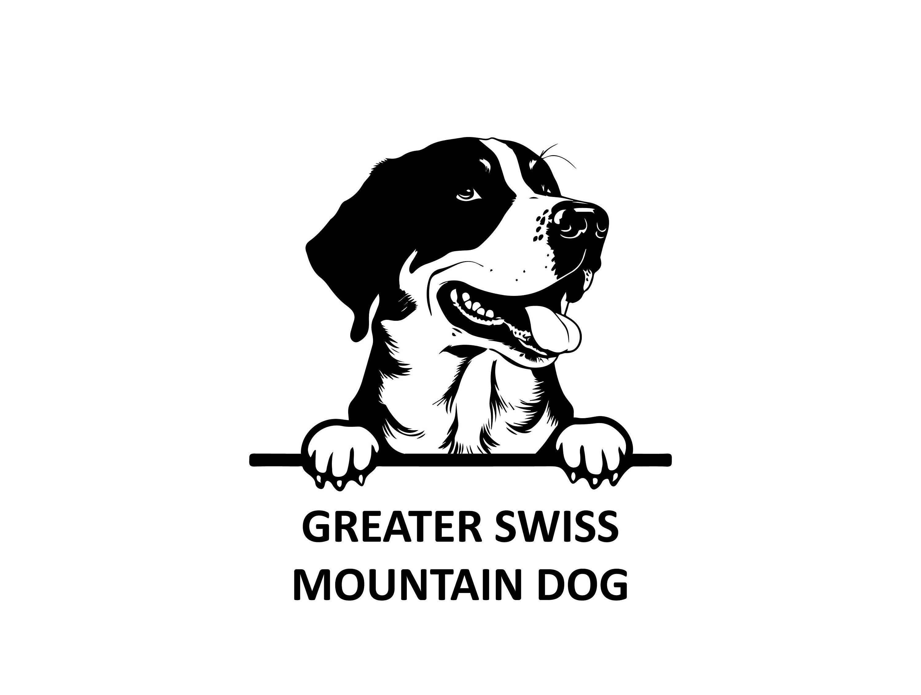 PEEKING GREATER SWISS Mountain Dog Svg, Peeking Greater Swiss