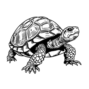 Tortue SVG, clipart tortue, fichiers Svg tortue pour Cricut, tortue svg, Silhouette de tortue