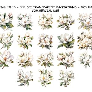 Clipart aquarelle de forêt de montagne, fichiers Png de forêt de montagne aquarelle, png arrière-plan transparent