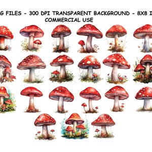 Clipart CHAMPIGNONS ROUGES AQUARELLE, Png champignons rouges aquarelle pour un usage commercial, clipart champignon