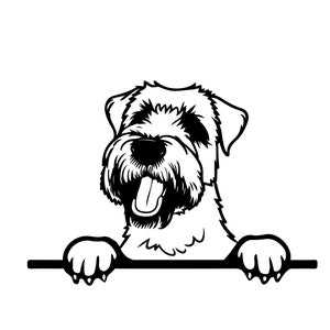 PEEKING SOFT COATED Wheaten Terrier Svg, Peeking Soft Coated Wheaten Terrier Svg Files For Cricut