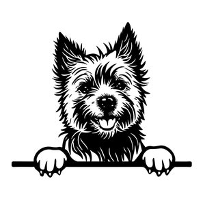 PEEKING CAIRN TERRIER Svg, Peeking Cairn Terrier Svg Files For Cricut, Peeking Cairn Terrier Clipart