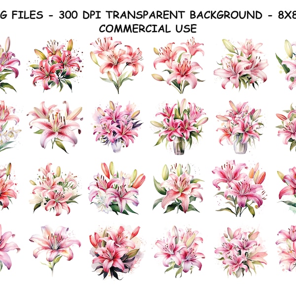 Watercolor PINK TIGER LILY Clipart, Watercolor Pink Tiger Lily Png Files, Transparent Background Png for Commercial Use