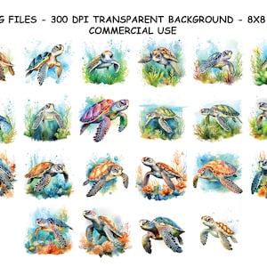 WATERCOLOR SEA TURTLE Clipart, Aquarell Meeresschildkröte Png-Dateien, transparenter Hintergrund Png für kommerzielle Nutzung