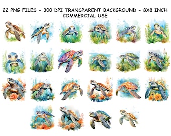 WATERCOLOR SEA TURTLE Clipart, Aquarell Meeresschildkröte Png-Dateien, transparenter Hintergrund Png für kommerzielle Nutzung
