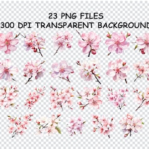 KIRSCHBLÜTE AQUARELL Png, Sakura Blume Clipart, rosa Blumen-Svg-Dateien für Cricut, Frühling Dekor