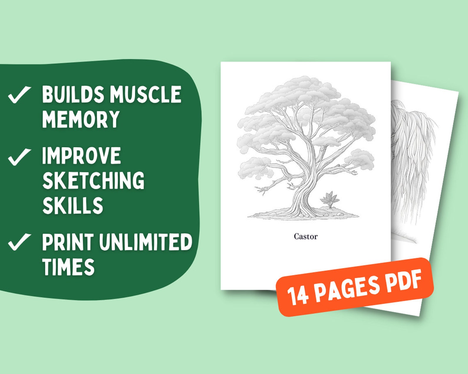 Trees Tracing Guide, Learn to Draw Trees, Tracing Art, Digital Download