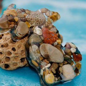 Michigan Stone Magnet/Premium Shoreline Petoskey StoneMagnet | Lake Michigan Art | Great LakesGift | Hexagonaria Coral Fossil| Unique Gift