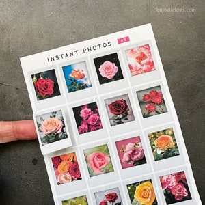 Autocollants roses style photo instantanée • Jolies fleurs • Autocollants pour planificateurs, bullet journal, scrapbooking, lettres, cartes et décoration