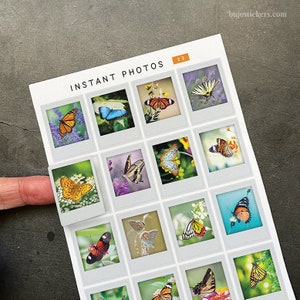 Pegatinas de fotos instantáneas de mariposas • Mariposas, naturaleza, flores • Planificación, collage, conservación de recuerdos, tarjetas, cartas, álbumes de recortes, diario 23