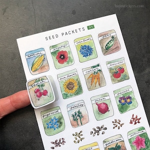 Pacotes de sementes 01 • adesivos de sementes de flores e vegetais para bujo, planners, scrapbooking, cartas etc. Únicos, ilustrados por Amanda Bigrell.