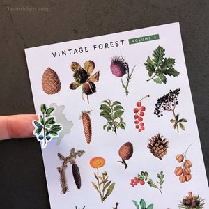 Vintage Forest Volume 1 • Pegatinas de papel para tarjetas, cartas, scrapbooking, bujo, bullet journals, planificación y más. bujostickers.com