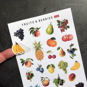 Fruit en bessen 01 • Stickers voor kaarten, brieven, plakboeken, bujo, bullet journals, planning, decor! Vintage fruit & bessen illustraties