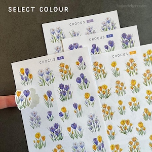 May include: Crocus flower sticker sheets in shades of purple, yellow, and blue. Each sheet is labelled with a number and the word "Crocus". The text "SELECT COLOUR" is at the top left.