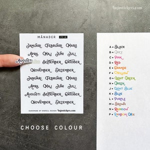 Månader Januari-December op Svenska. Zweedse stickermaanden. 14 kleuropties. Bujo, bullet journal, planner, kalender, agenda, agenda • 71