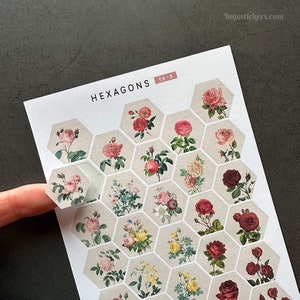 Vintage Rosen-Aufkleber Sechsecke. Altes Papier als Hintergrund. Ausschluss-Buchung. Art-, Junk- & Bullet Journaling. Kartengestaltung, Basteln. www.bujostickers.com