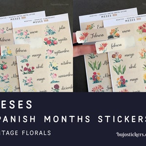 Meses en español. Months stickers in spanish with vintage florals. For bullet journal, bujo, calendar, planners etc. bujostickers.com