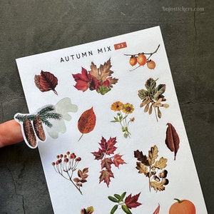 Autocollants mélange automne/automne • Feuilles, pommes de pin, fleurs, citrouille, feuille d'érable, saison des oranges • style vintage • Mélange automne 03