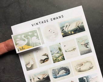 Vintage Swans • Retro illustrations • Stickers for cards, letters, scrapbooking, bujo, bullet journals, planning and more. bujostickers.com