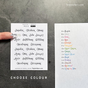 Autocollants avec les mois Janvier-Décembre. Pegatinas con los meses en Francés, Français. 14 opciones de color. Bullet journal, planificador • 71