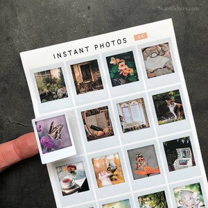 Summer Instant Photo stickers • Cottage, tea, flowers, butterfly, countryside, dog, outdoors, garden, picnic, book, reading