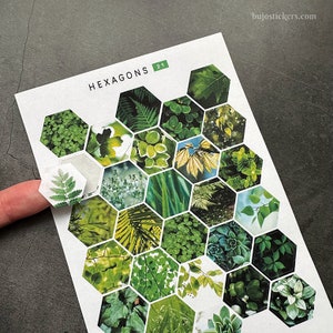 Blatt-Hexagon-Aufkleber. Pflanzen, Blätter, Laub, Garten, Wald, Natur. Journaling, Papier Basteln Lieferungen. Scrapbooking und Kartengestaltung.