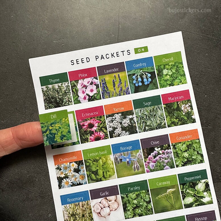 Small Decorative Seed Packet Stickers With Vegetables, Flowers and ...