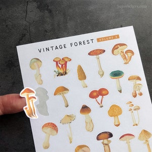 Vintage Forest Volume 2 • Autocollants papier pour cartes, lettres, scrapbooking, bujo, revues de balles, planification et plus encore. bujostickers.com