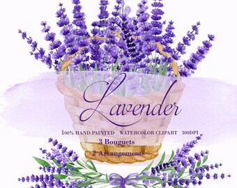 Dried Mimosa Dried Flowers Of Provence Etsy