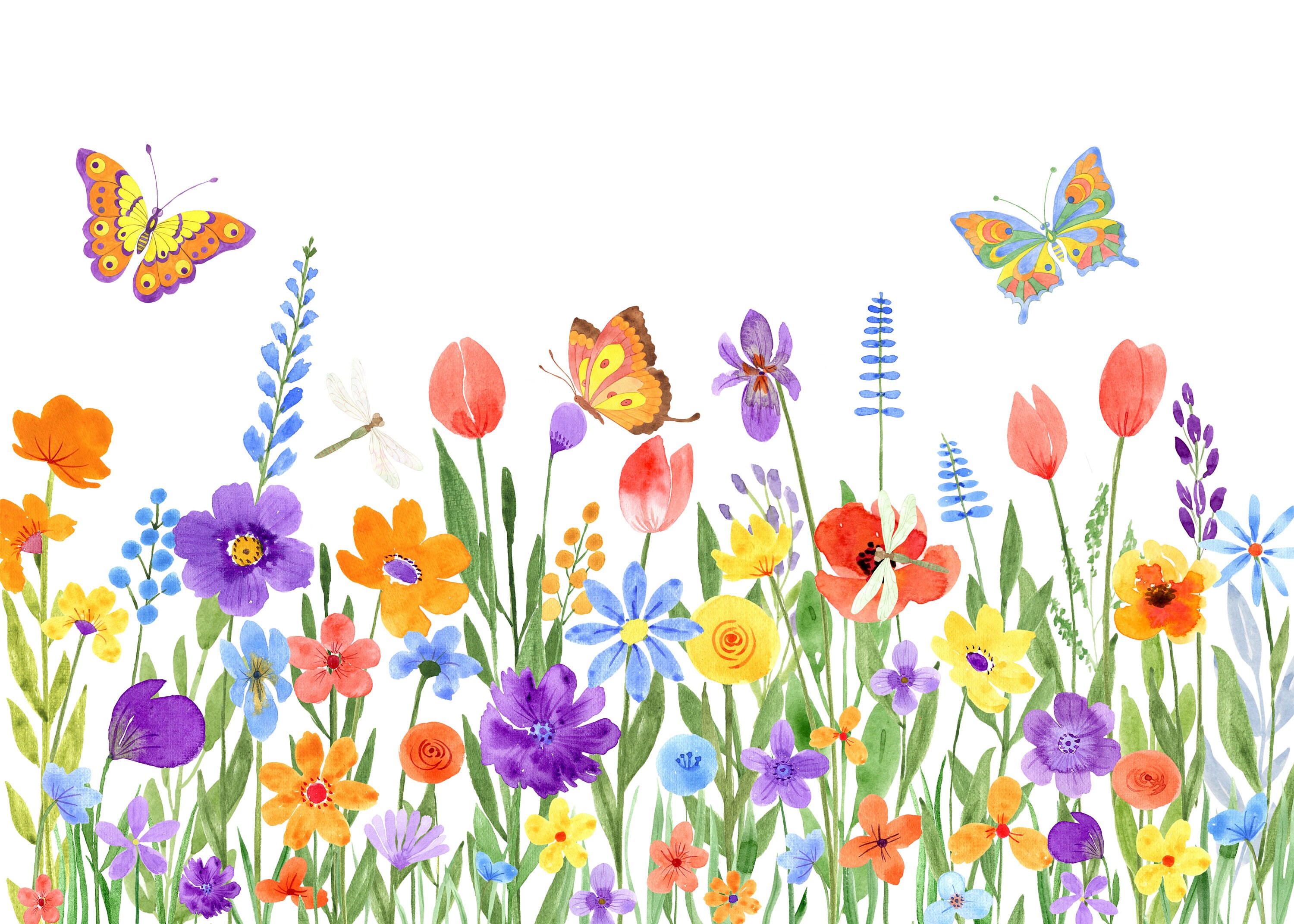 Wildflowers and Butterflies Clipart.watercolor Print.digital Etsy