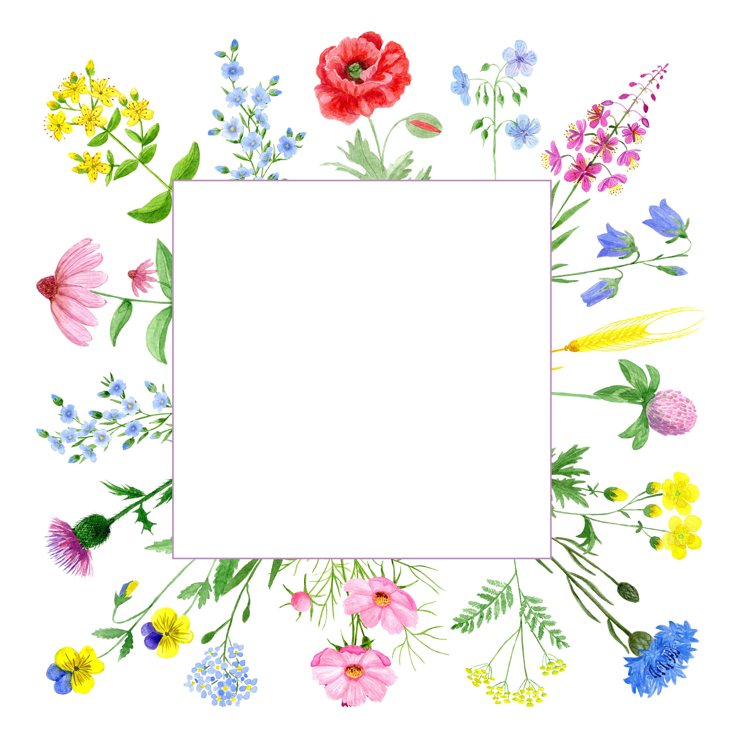 Watercolor Wildflower Frames Floral Frames Floral Wreaths | Etsy