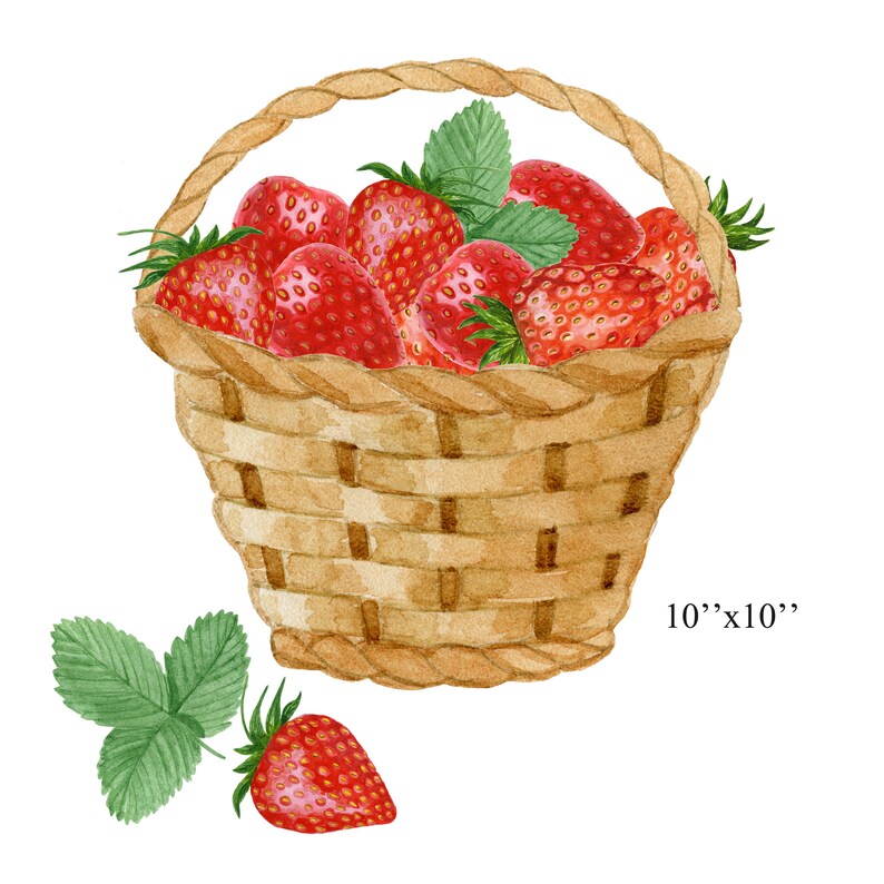 Watercolor Strawberry Clipart.klipart Baskets With Etsy