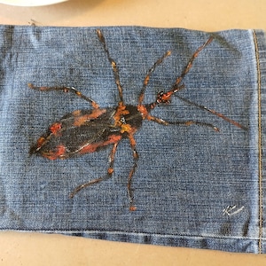 May include: Blue denim fabric featuring a painted insect. The insect is black with orange and red markings, and long legs. The denim has a faded look. The fabric is likely part of a garment.