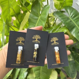 Kynam-Inspired Thai Agarwood Oil | Rare Luxury Aroma Profile | Micro-Batch Pure Oud Attar I 20+ yrs - Oud Prestige