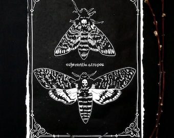 Impression De Papillon De Nuit Etsy