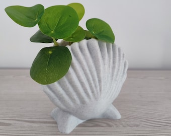 Scallop shell pot - Elegant pot - Cactus and succulents - Indoor and outdoor plant - Garden - Decoration pot