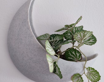 Moon-shaped hanging pot - Original gift - Succulent - Fun pot - Original decoration - Air plant - Pretty planter
