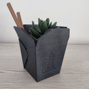 Peut inclure: Un récipient à emporter noir avec un motif de pagode, utilisé comme pot pour une petite plante succulente verte. Deux baguettes brunes sont placées sur le bord du récipient.
