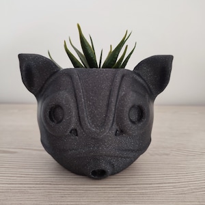Funny Mask Flower Pot - Decoration - Anime - Cartoon - Movie - Air Plant - Manga Decoration - Fan Art - Gift - Ornament